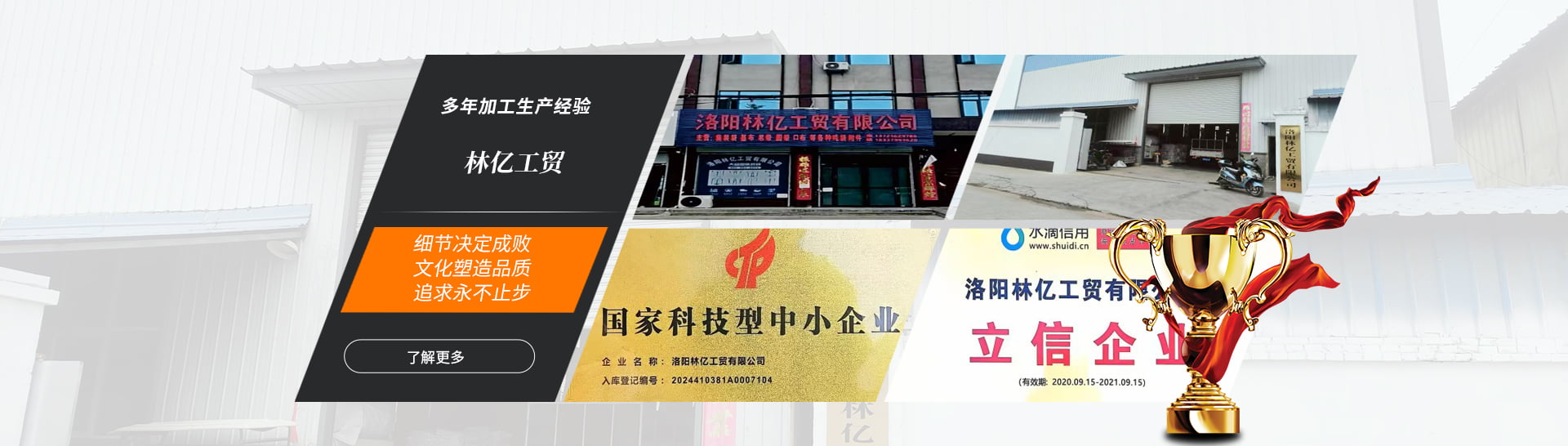 洛陽林億工貿有限公司